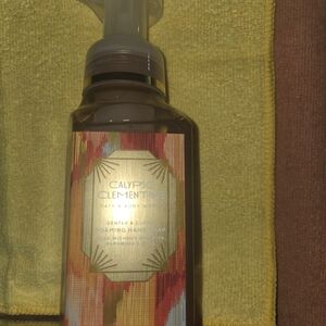Bath & Body Works Calypso Clementine Foaming Hand Soap - Multicolor